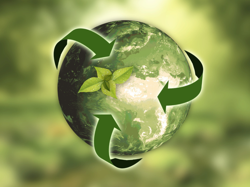 sustainability sustainability